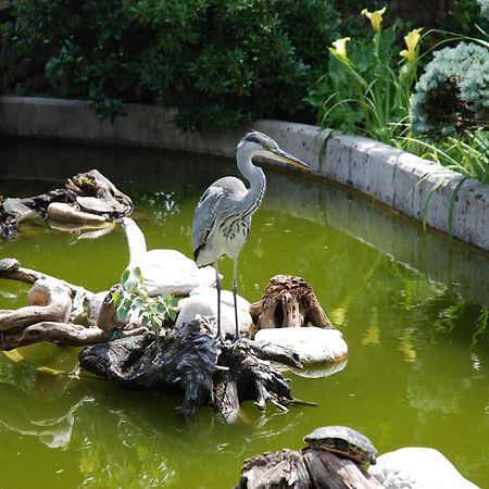 Al Giardino Hotel Fanna Ngoại thất bức ảnh