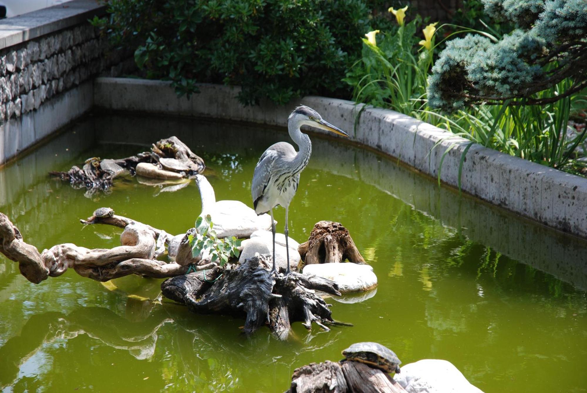 Al Giardino Hotel Fanna Ngoại thất bức ảnh