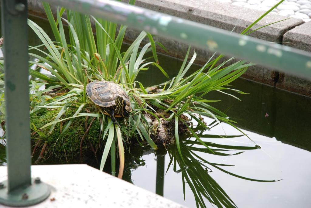 Al Giardino Hotel Fanna Ngoại thất bức ảnh
